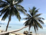 Uitzicht op zee vanaf het terras bij het zwembad Koh Phangan