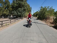 Onderweg (7)