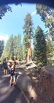 Panoramafotografie