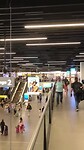 IMG_4519