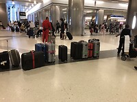 IMG_4550