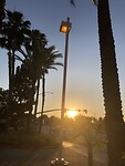 IMG_4555