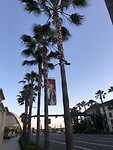 IMG_4559