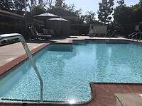 IMG_4579