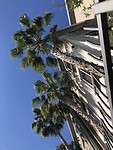 IMG_4578