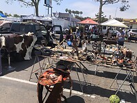 IMG_4614
