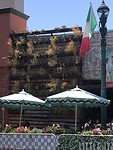 IMG_4627
