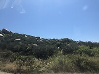 IMG_4641