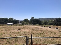 IMG_4643