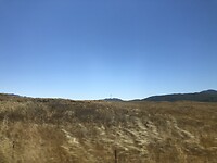 IMG_4648