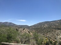 IMG_4653