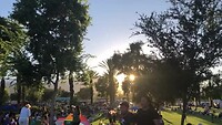 IMG_4667