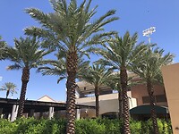 IMG_4737