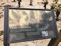 IMG_4742
