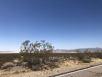 IMG_4790