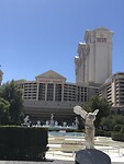 IMG_4816