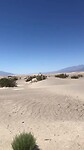 IMG_4856