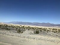 Death Valley