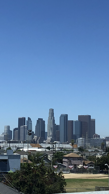 Skyline LA