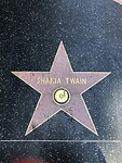 The Walk of Fame