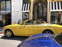 The Rodeo Drive