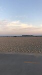 Venice beach