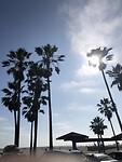 Venice beach