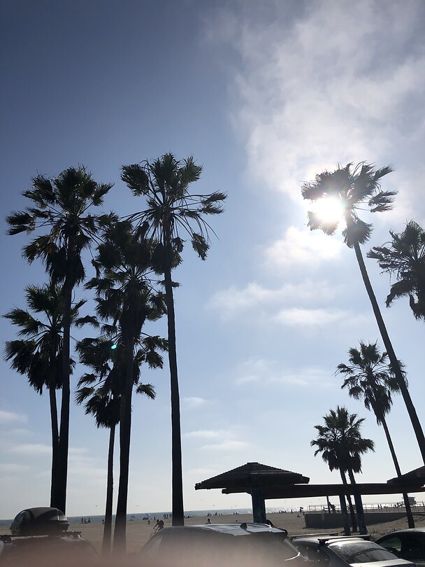 Venice beach
