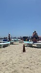 Bay shore ( horny corner beach )