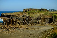 Bombo Headland