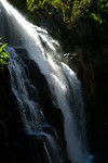 DSCF5603