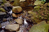 DSCF5890