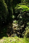 DSCF5898