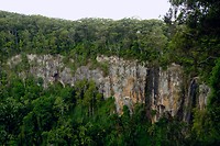 DSCF5913