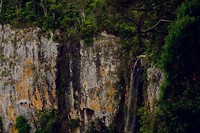 DSCF5914