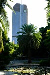 DSCF5936