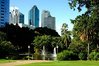 Uitzicht vanuit de Botanische tuin Brisbane