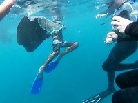 White Sundays Snorkelen