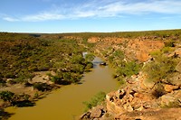 Hawks Head