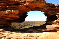 Nature's Window