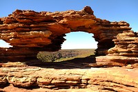 Nature's Window