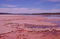 Pink Lake