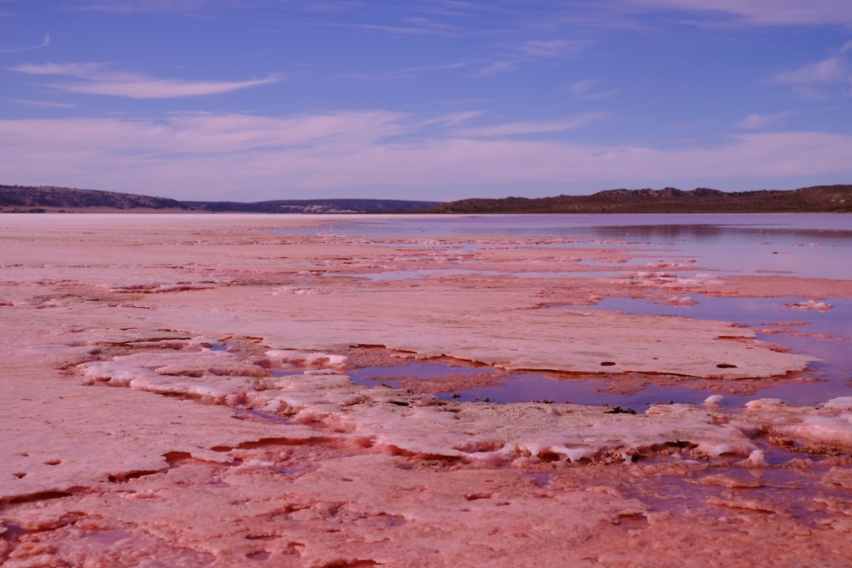 Pink Lake