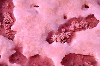 Roze zout