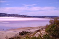 Pink Lake