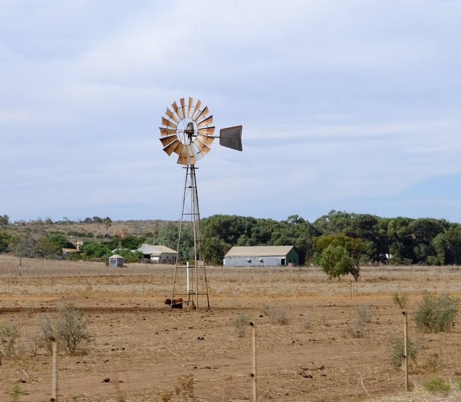 Windmolen