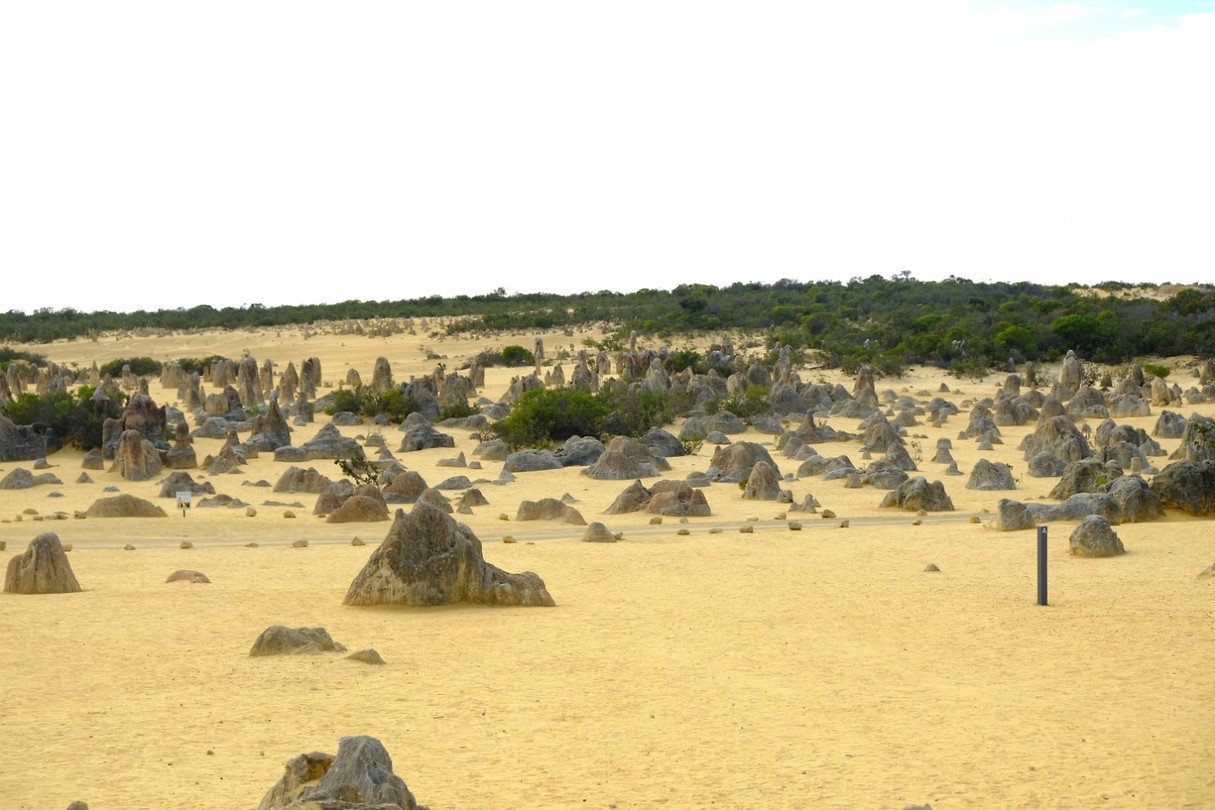overzicht Pinnacles