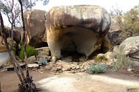 Hippo Rock