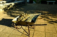 De kruiwagen met goud