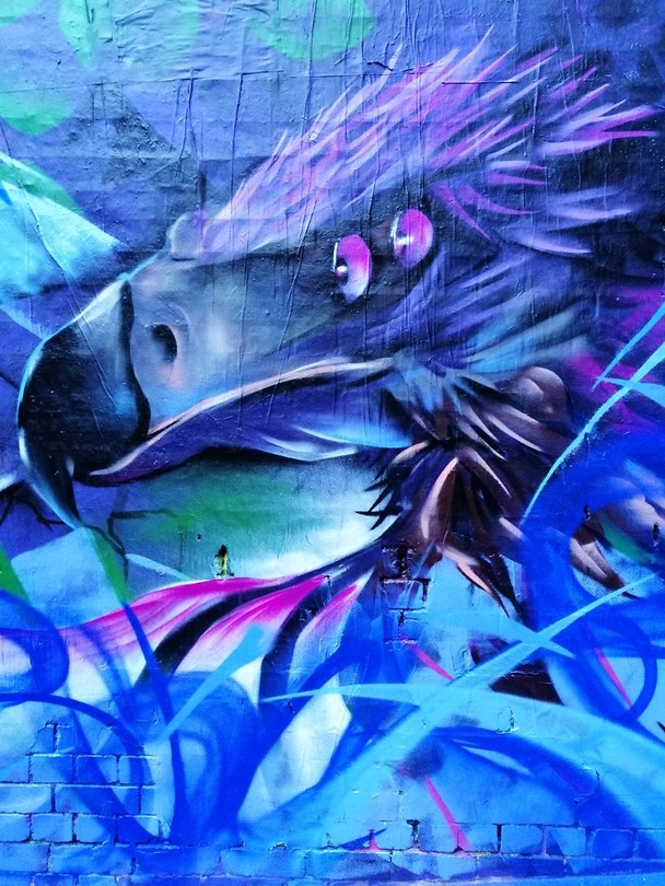 Street Art